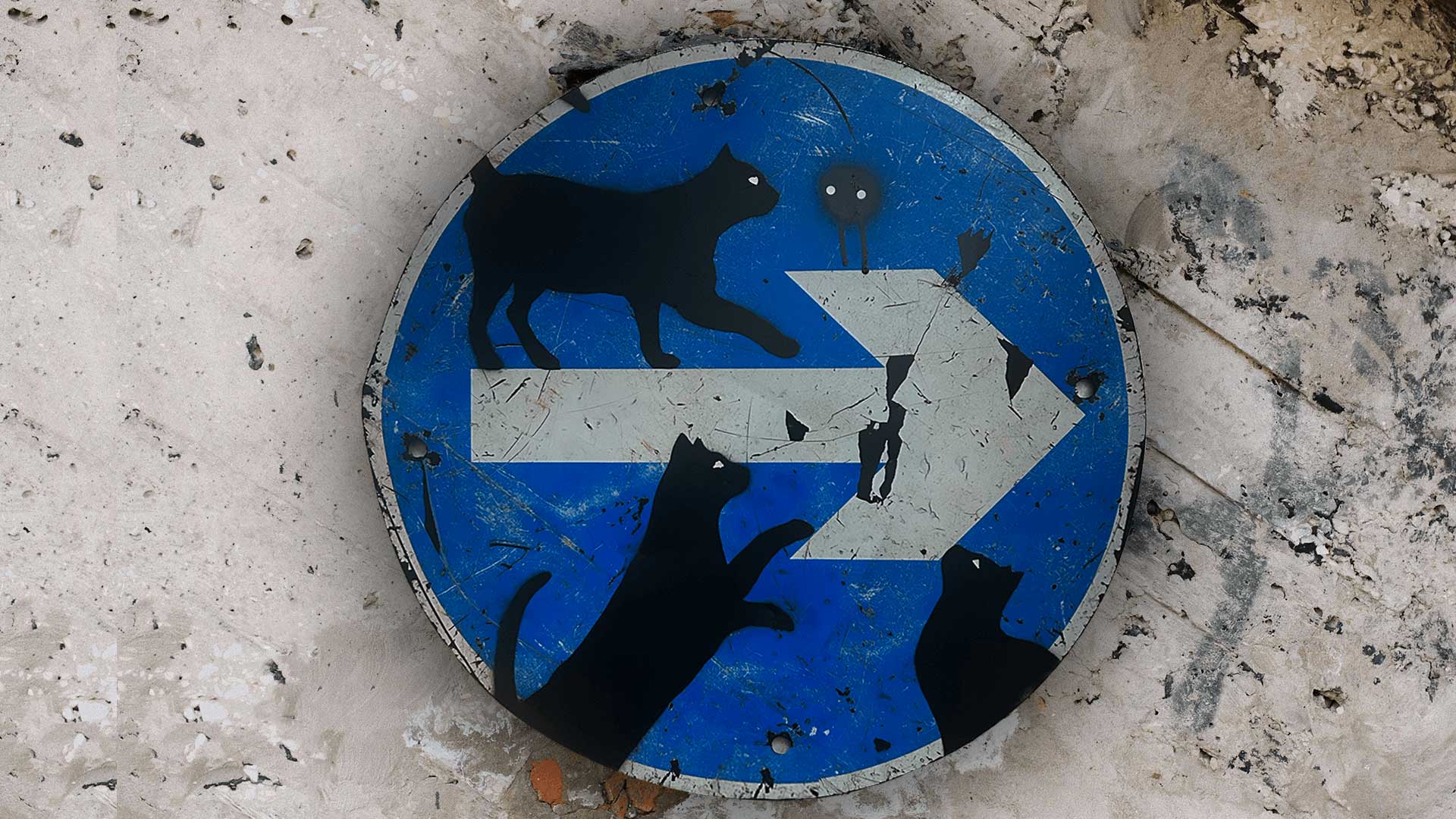 cats painted on a discarded road sign